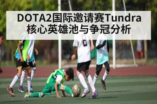DOTA2国际邀请赛Tundra核心英雄池与争冠分析